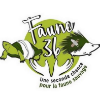 faune36 logo