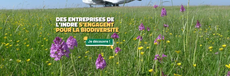 Entreprises de l'Indre pour la biodiversité !