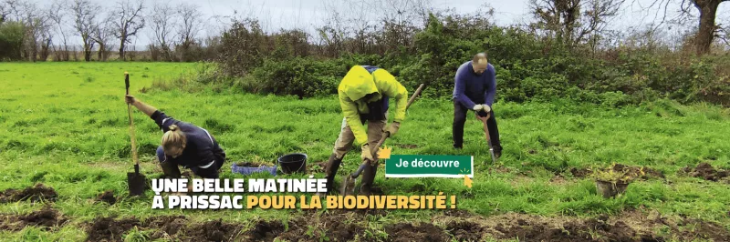 Œuvrons pour un bocage riche et durable !