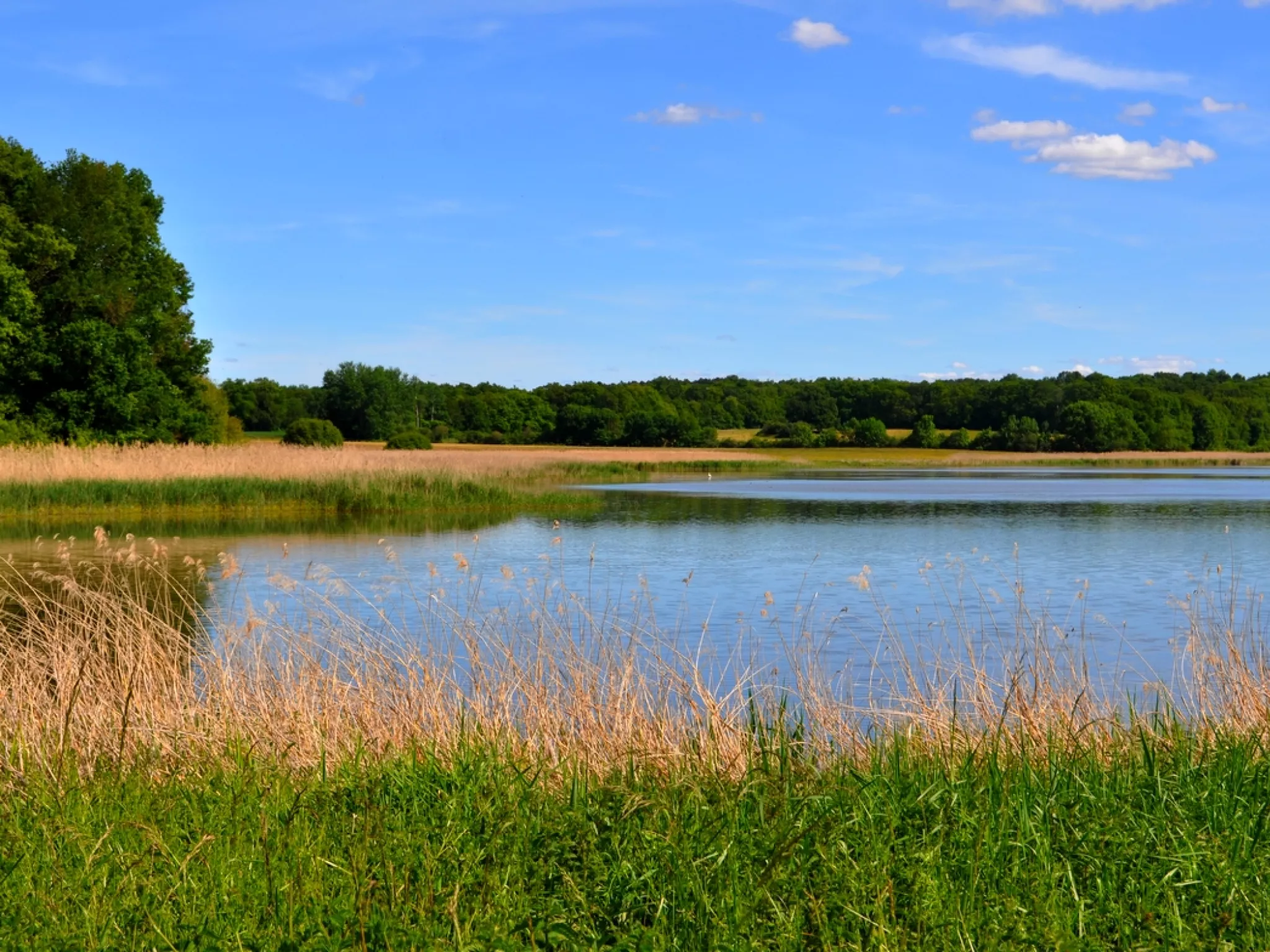 Comprendre l'histoire des paysages de Brenne