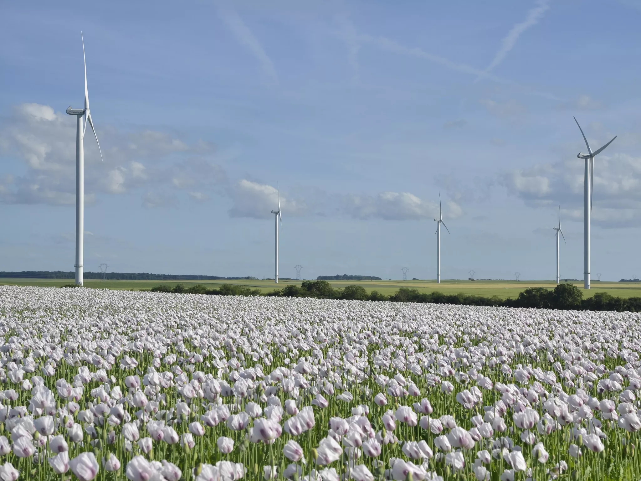 Eoliennes St Georges sur Arnon