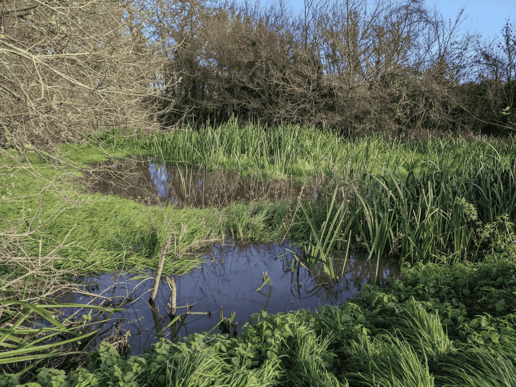 Chantier Mare Saint-Christophe en Bazelle