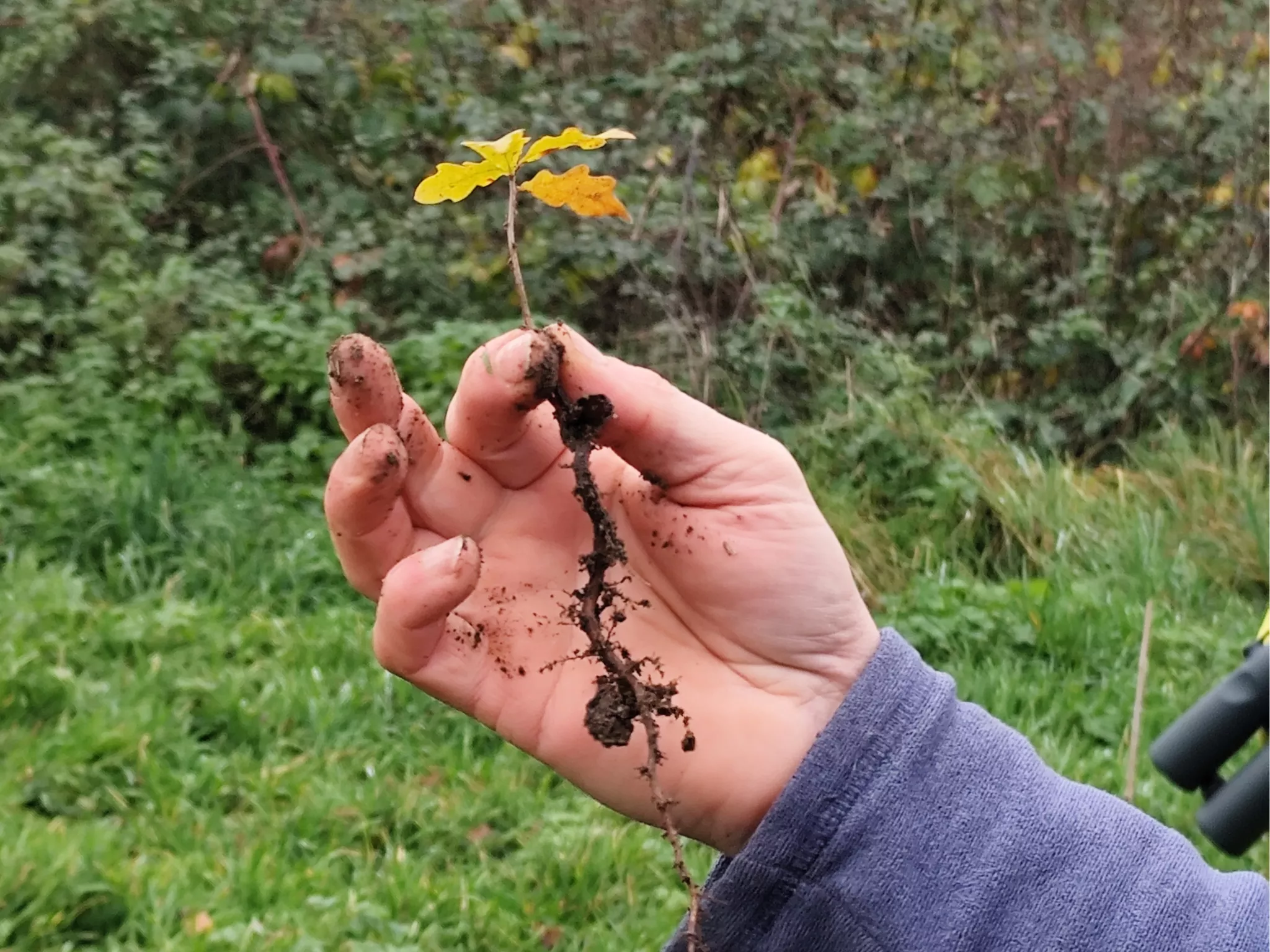 Une belle matinée pour la biodiversité !