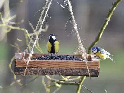 Photo de Sylvie Caux