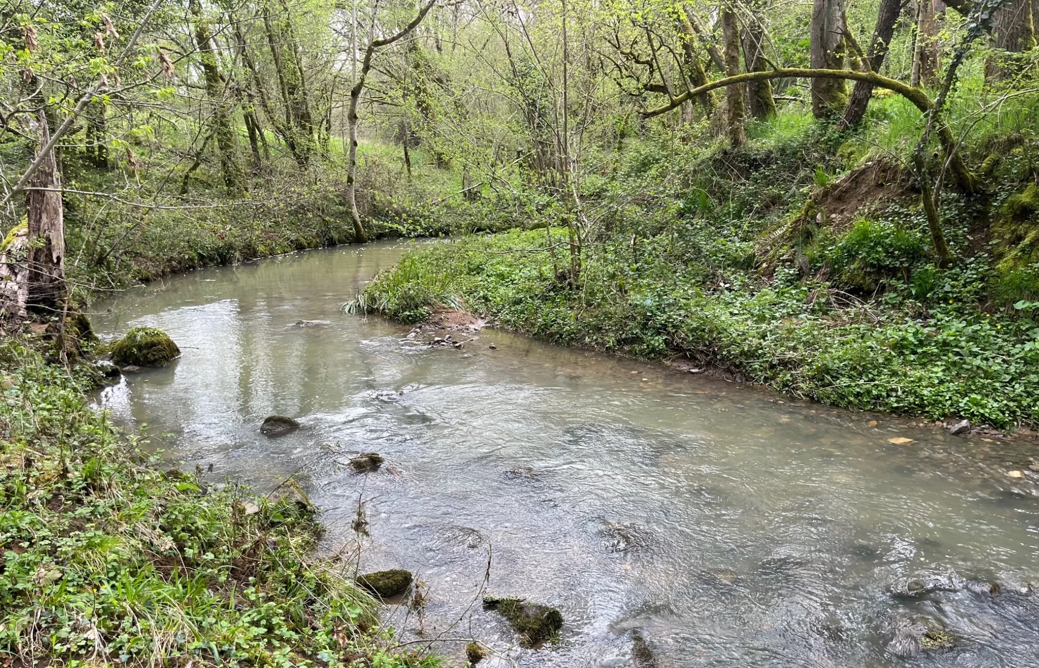 Ruisseau Les Longes Fonts