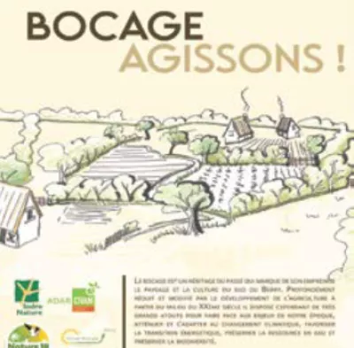 Bocage